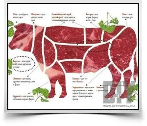 Для каких блюд подходят разные части говядины