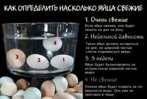 Как определить свежесть яиц самому